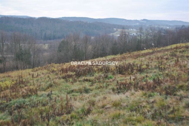 Działka rolno-budowlana Głogoczów. Zdjęcie 5