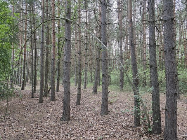 Działka inna Wilkanowo. Zdjęcie 6