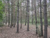 Działka inna Wilkanowo. Zdjęcie 4