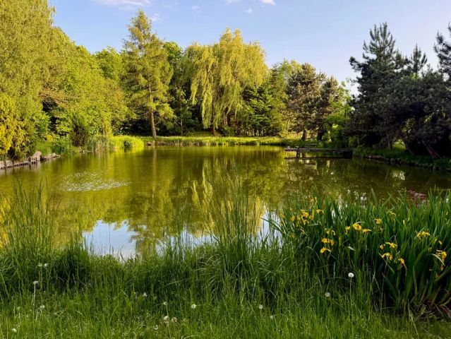Działka siedliskowa Kalinów, Kalinów. Zdjęcie 1