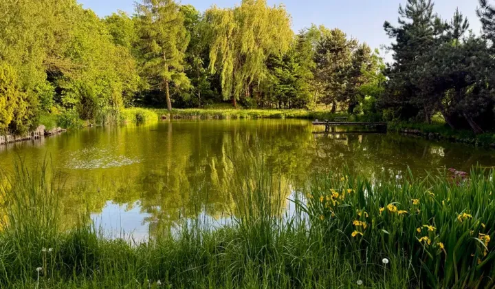 Działka siedliskowa Kalinów
