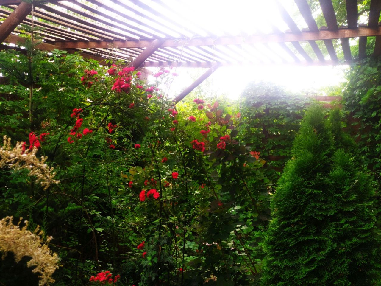 dom wolnostojący, 8 pokoi Sochaczew. Zdjęcie 2