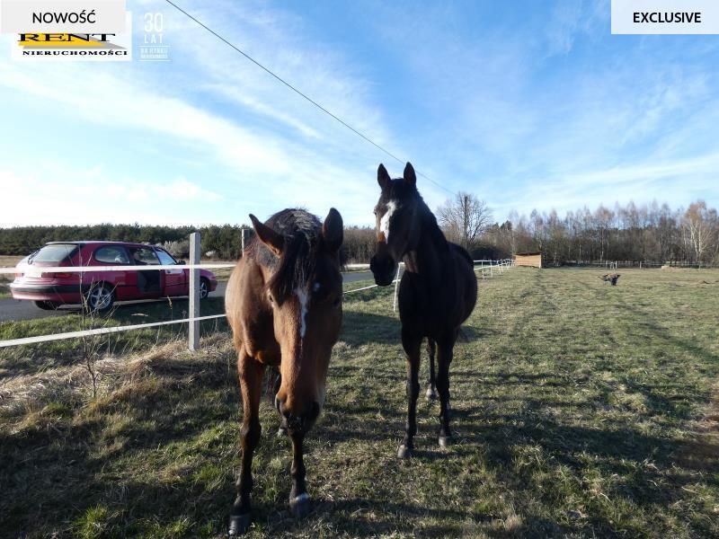 Działka budowlana Łoźnica. Zdjęcie 10
