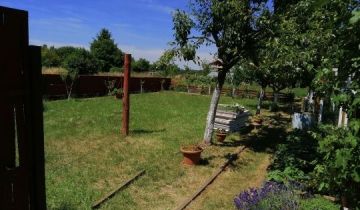 Działka rekreacyjna Czerwieńsk