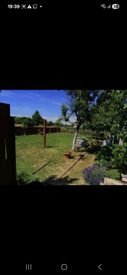 Działka rekreacyjna Czerwieńsk. Zdjęcie 2