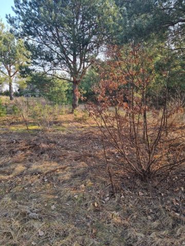 Działka budowlana Tołcze. Zdjęcie 1