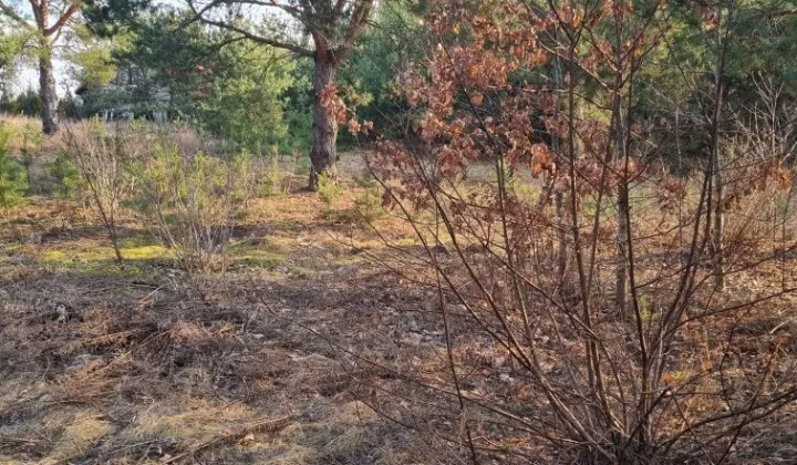 Działka budowlana Tołcze