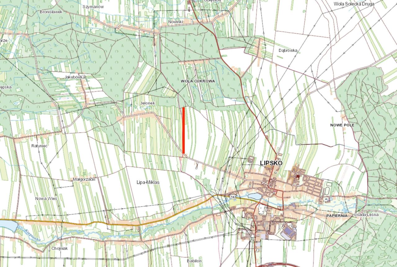 Działka rolna Jelonek. Zdjęcie 3