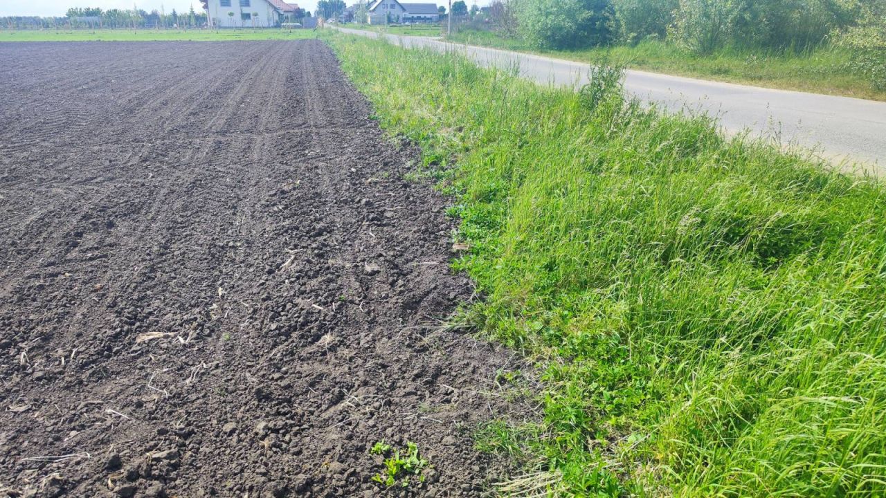 Działka rolno-budowlana Wierzbice, ul. Tarnopolska. Zdjęcie 6