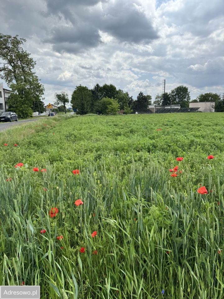 Działka inwestycyjna Brzostek. Zdjęcie 5