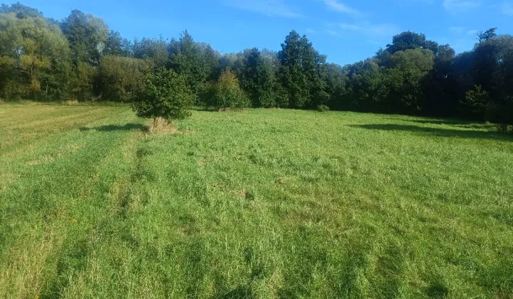 Działka budowlana Nowa Wieś Goszczańska Kuźnia Goszczańska