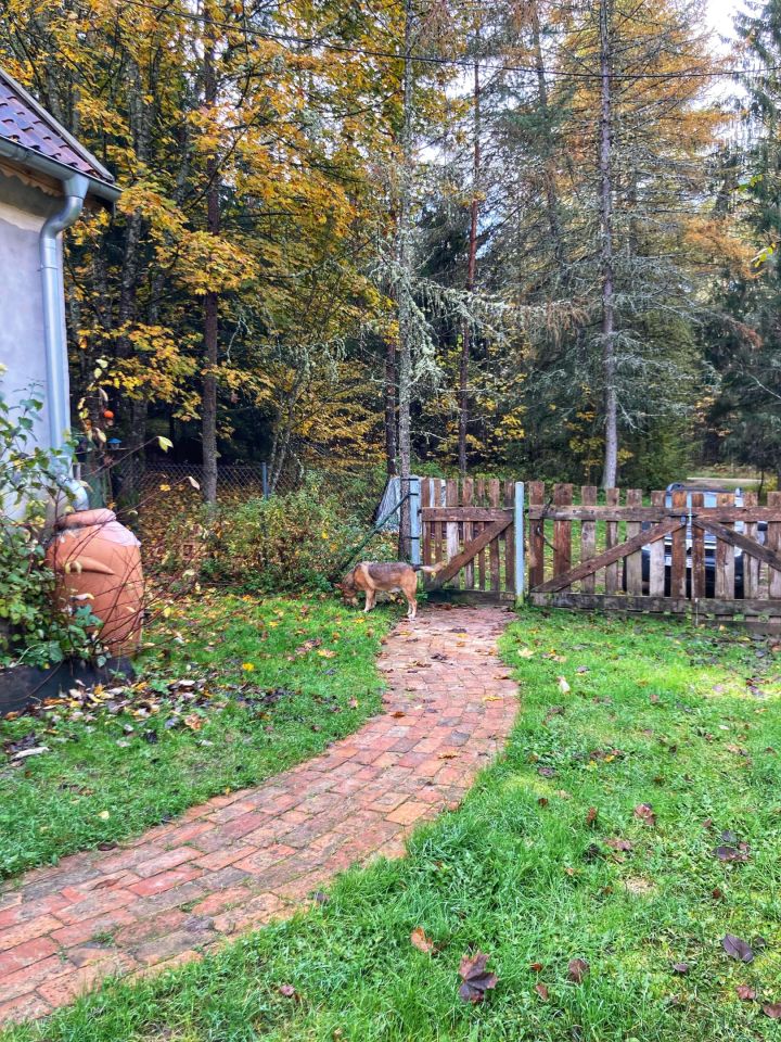 dom wolnostojący, 5 pokoi Łaniewo. Zdjęcie 24