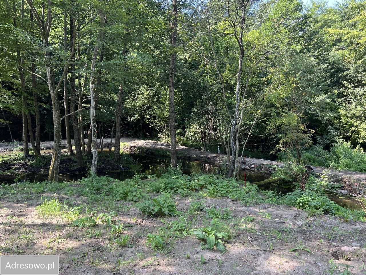 siedlisko Tuszewo. Zdjęcie 10