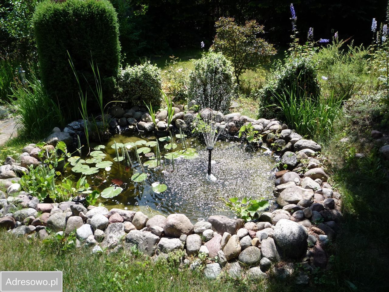 Działka rod Otowo. Zdjęcie 14