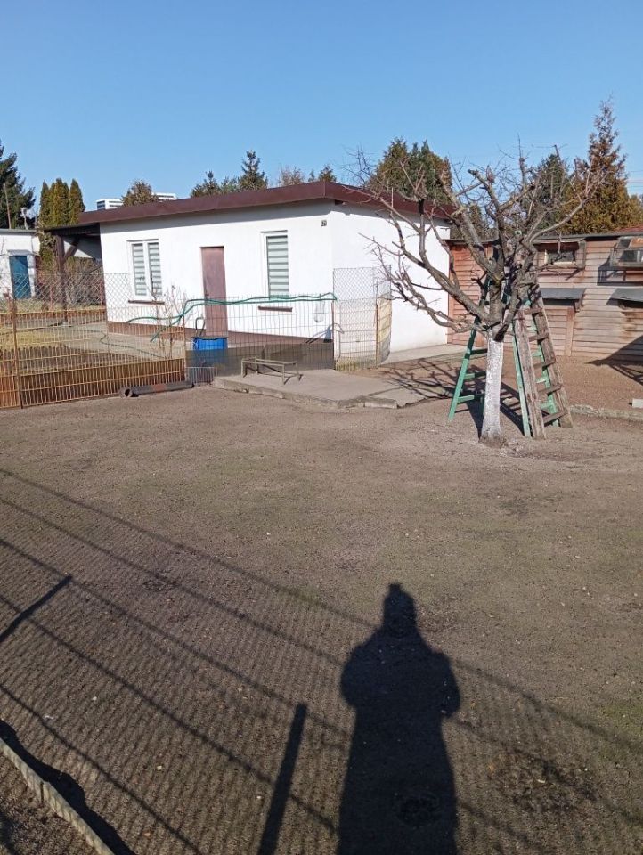 Działka rod Bydgoszcz. Zdjęcie 2