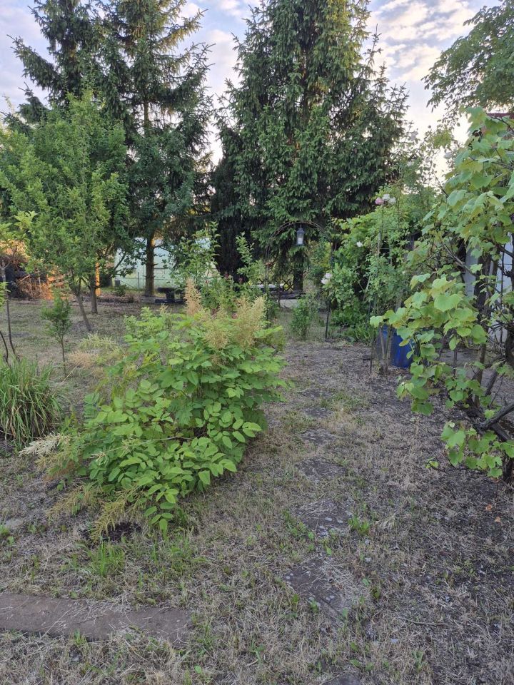 Działka rod Gorzów Wielkopolski, ul. Śląska. Zdjęcie 8