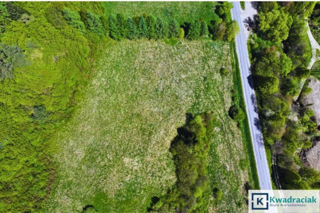 Działka rolna Hoszów. Zdjęcie 3