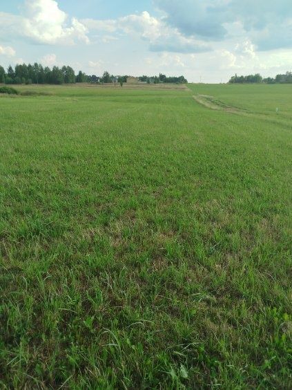 Działka budowlana Poręba, ul. Leszczynowa. Zdjęcie 3