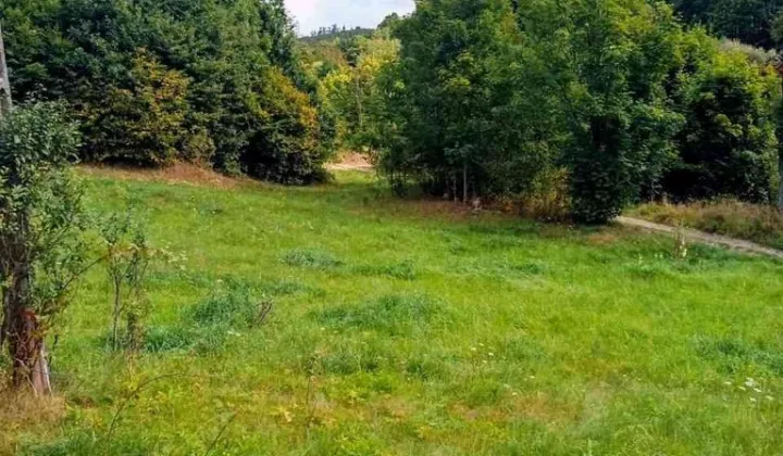 Działka budowlana Wilcza