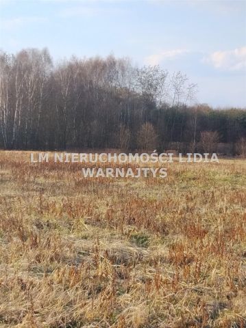 dom wolnostojący, 6 pokoi Książenice. Zdjęcie 7