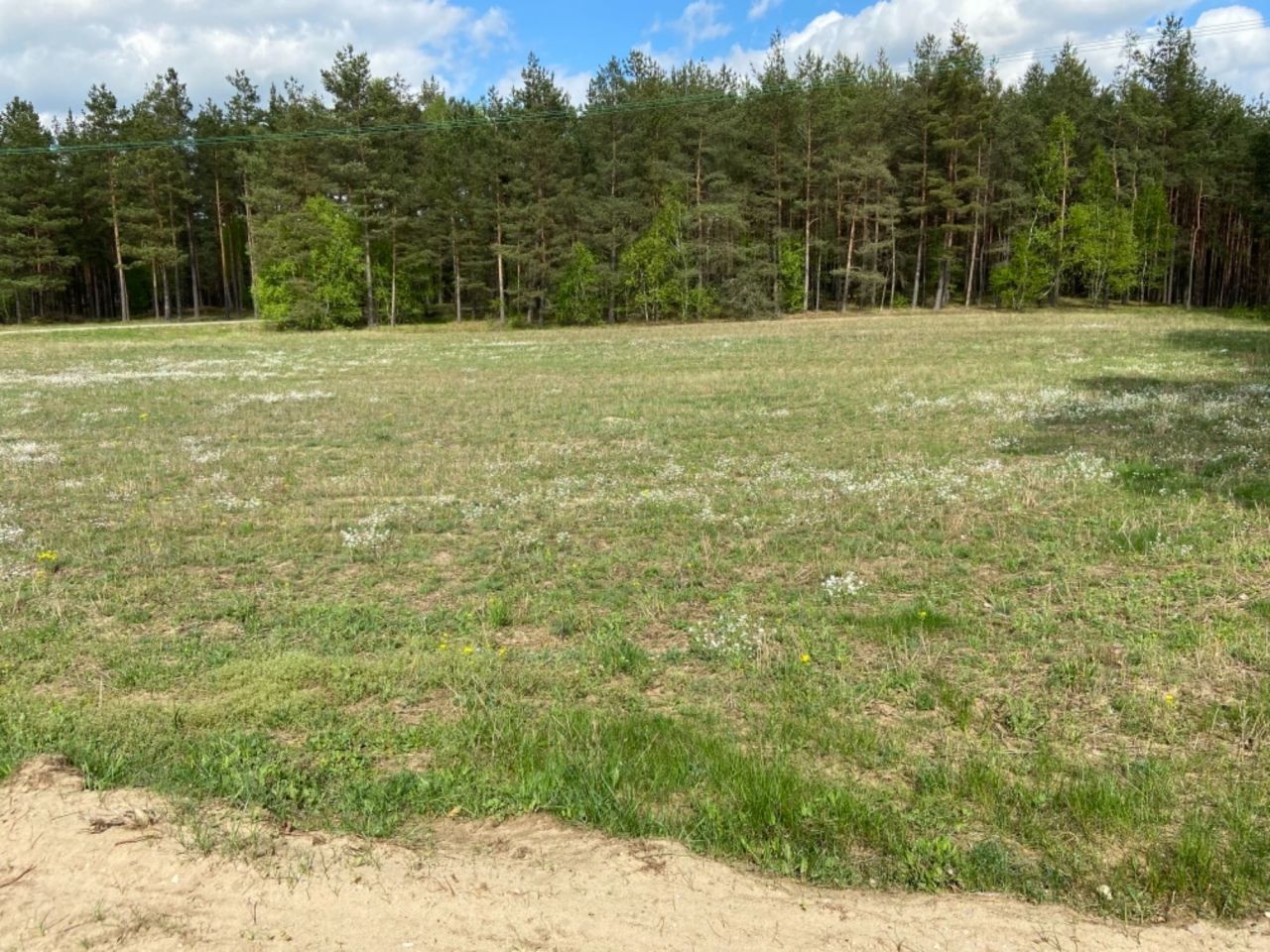 Działka siedliskowa Czarne. Zdjęcie 3