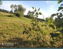 Działka budowlana Krzywa Góra. Zdjęcie 2