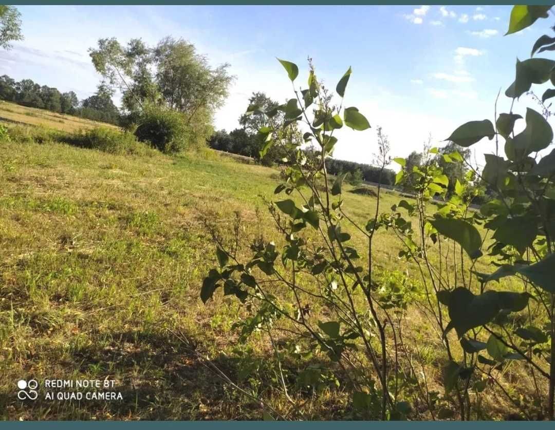Działka budowlana Krzywa Góra. Zdjęcie 3