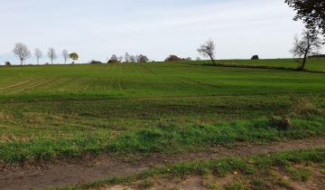 Działka siedliskowa Gwiazdowo