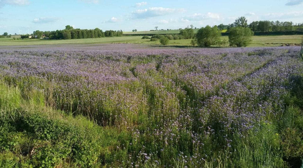 Działka budowlana Nowy Klukom. Zdjęcie 7