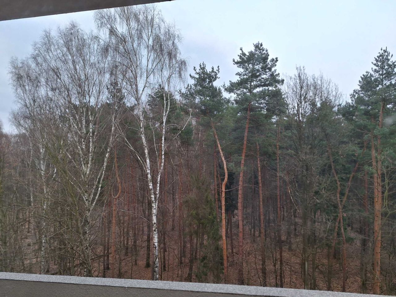Mieszkanie 3-pokojowe Katowice Giszowiec. Zdjęcie 8