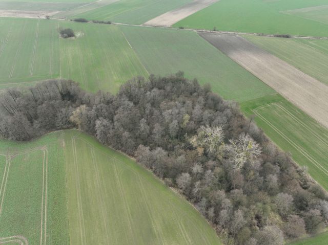 Działka inwestycyjna Miszewko Strzałkowskie, Nieokreślona. Zdjęcie 8