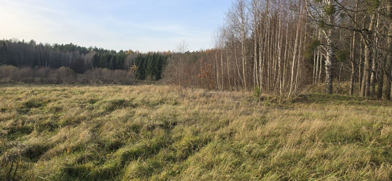 Działka rolna Runowo. Zdjęcie 7