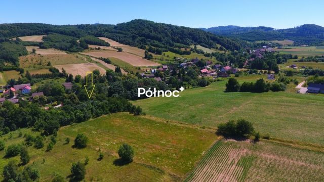 Działka rolna Laski. Zdjęcie 3