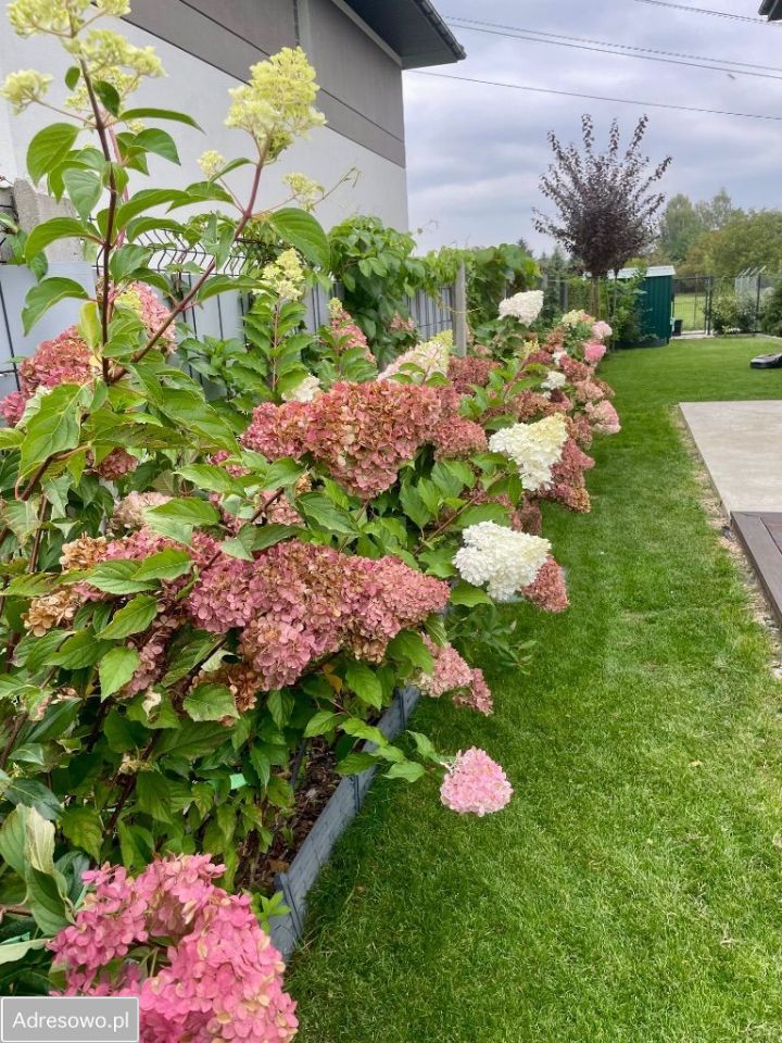 dom szeregowy, 5 pokoi Warszawa Białołęka, ul. Tarchomińska. Zdjęcie 5