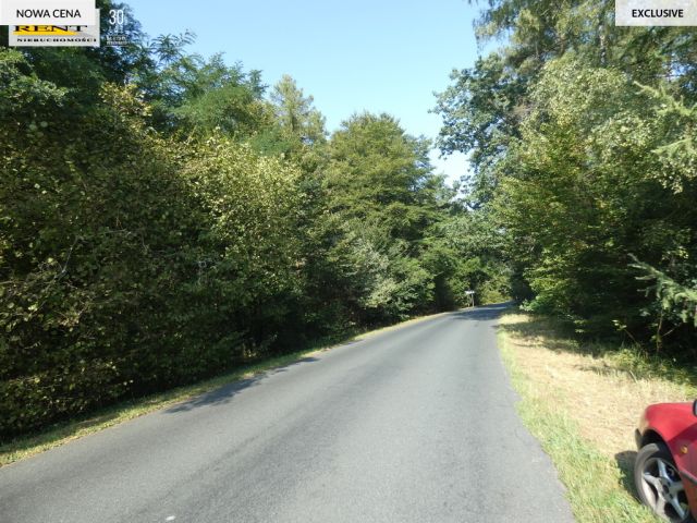 Działka inwestycyjna Tarnówko. Zdjęcie 8