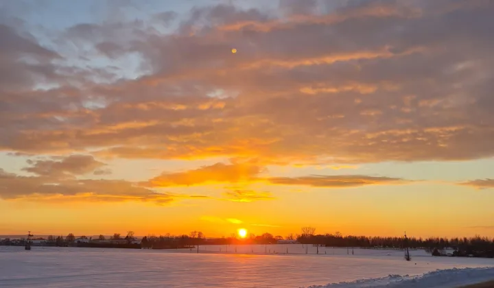 Działka rolno-budowlana Mieroszyno Mieroszyno-Parcele, ul. Wierzbowa