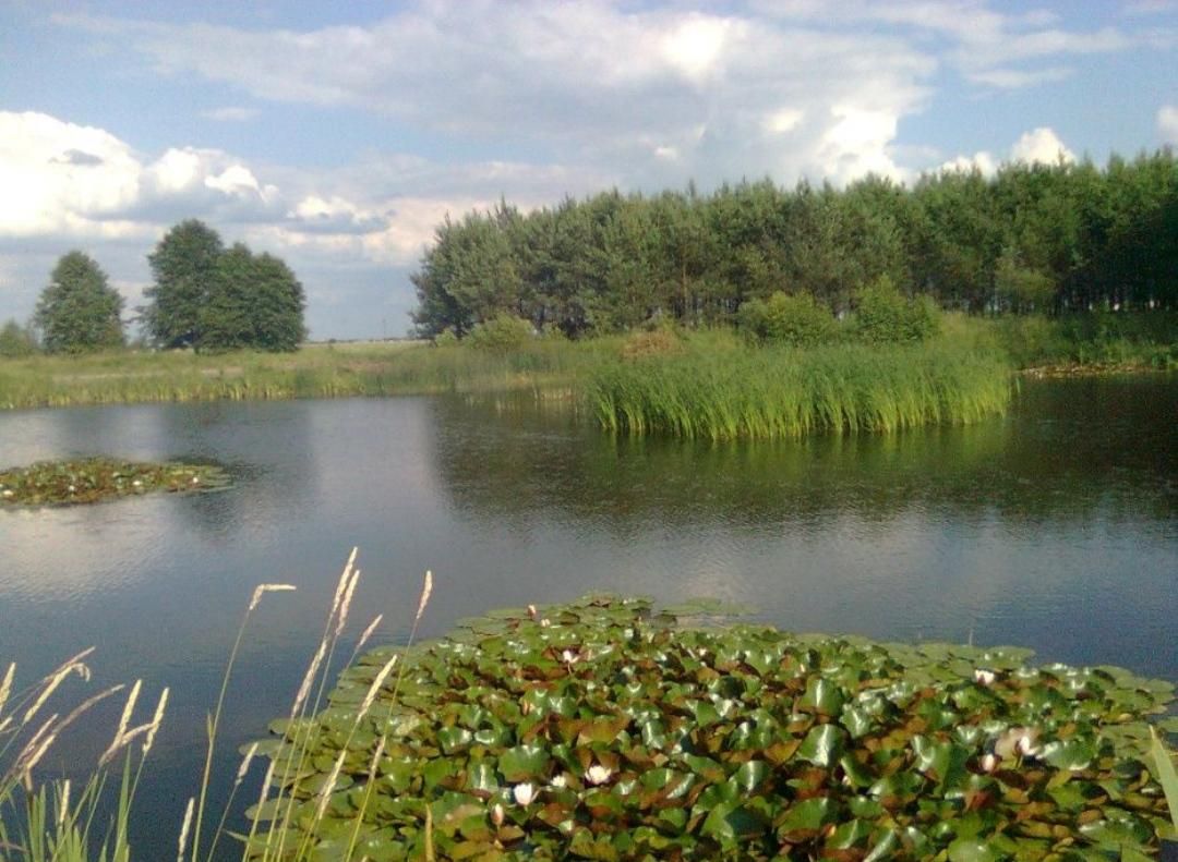 Hotel/pensjonat Zawidz Kościelny, ul. Warszawska. Zdjęcie 5