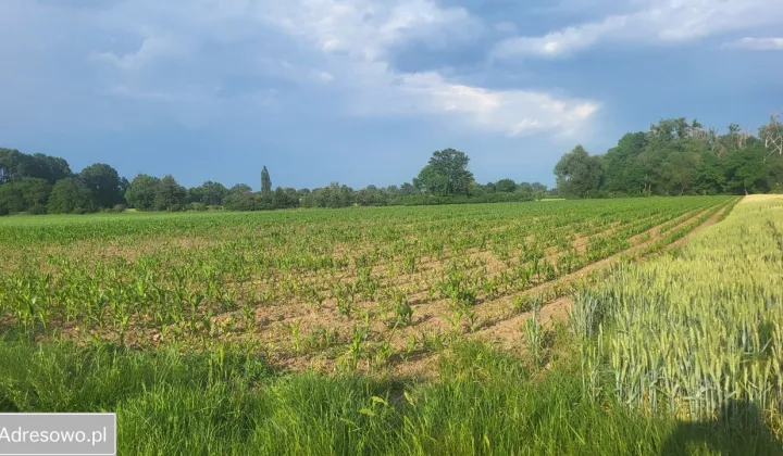 Działka siedliskowa Księginice, ul. Piaskowa