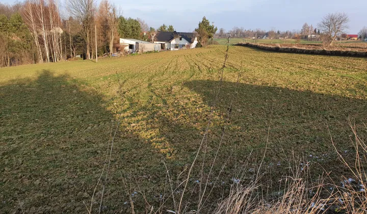 Działka budowlana Józefów-Pociecha, Pociecha