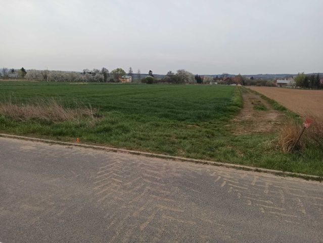 Działka budowlana Kwielice. Zdjęcie 1