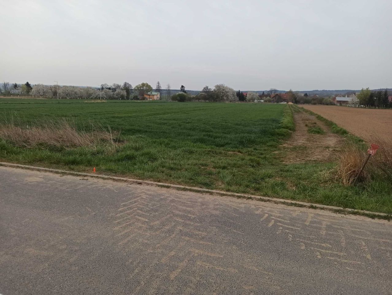 Działka budowlana Kwielice. Zdjęcie 1