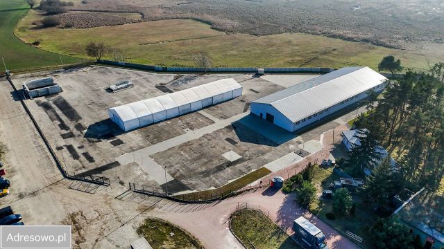 Działka inwestycyjna Czarne Piątkowo. Zdjęcie 1