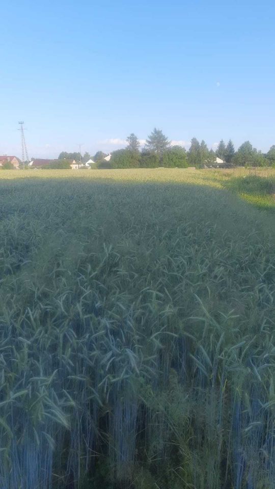 Działka budowlana Lubaczów, ul. Chabrowa. Zdjęcie 5