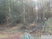 Działka Ludowice. Zdjęcie 2