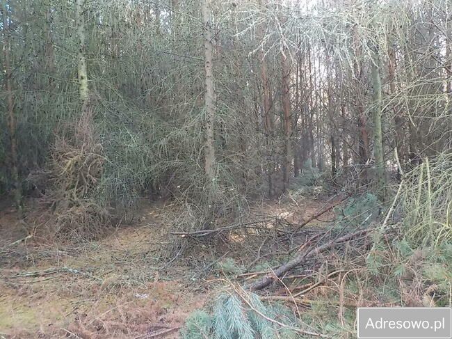 Działka Ludowice. Zdjęcie 3