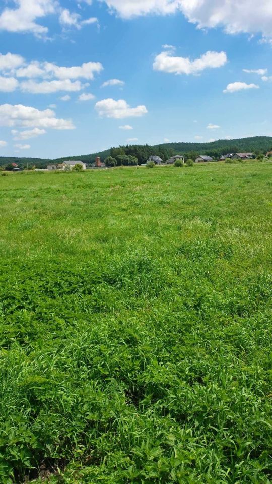 Działka budowlana Karpiny. Zdjęcie 2