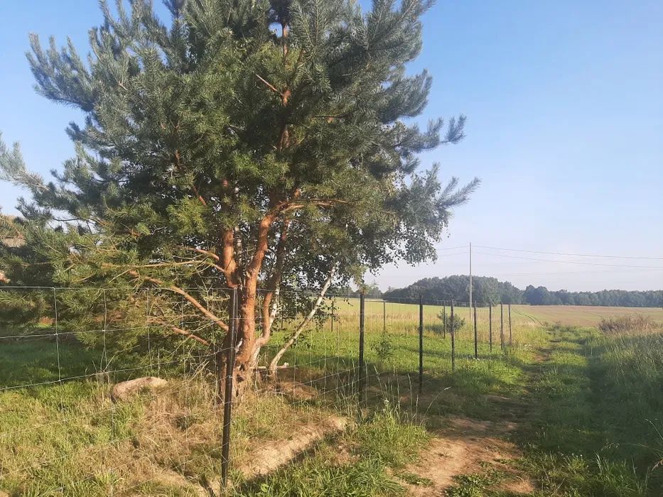 Działka budowlana Mierzyno Rukowo. Zdjęcie 5