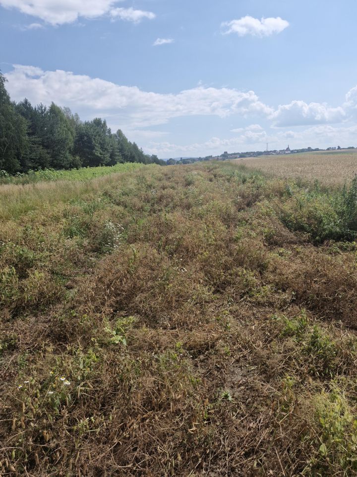 Działka rolna Godów. Zdjęcie 3