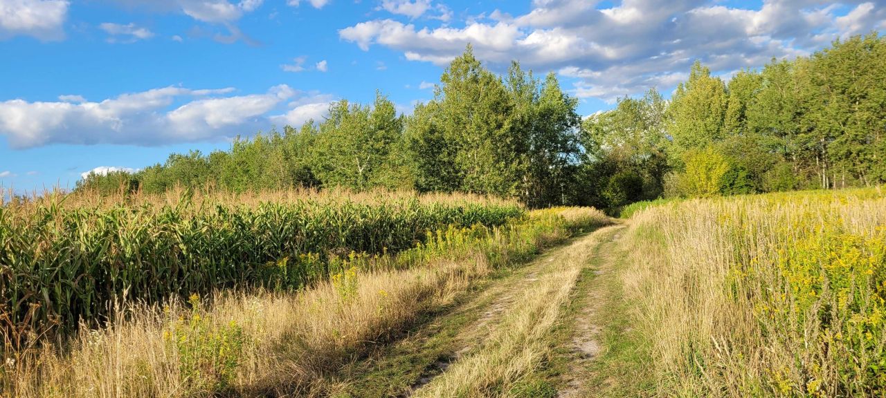 Działka inwestycyjna Lubaczów. Zdjęcie 8