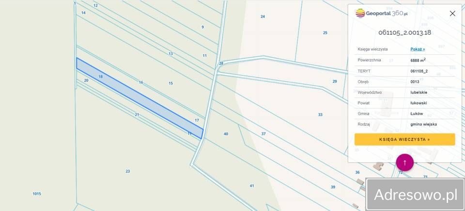 Działka leśna Klimki. Zdjęcie 2